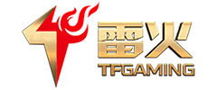 ng游戏接口供应商 TFGAMING