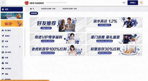 NG包网模版