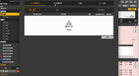 NG包网模版