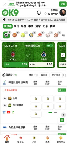 NG包网模版