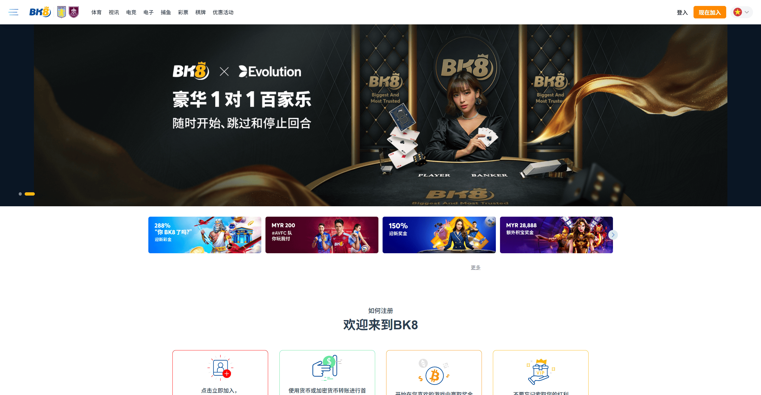 NG包网模版