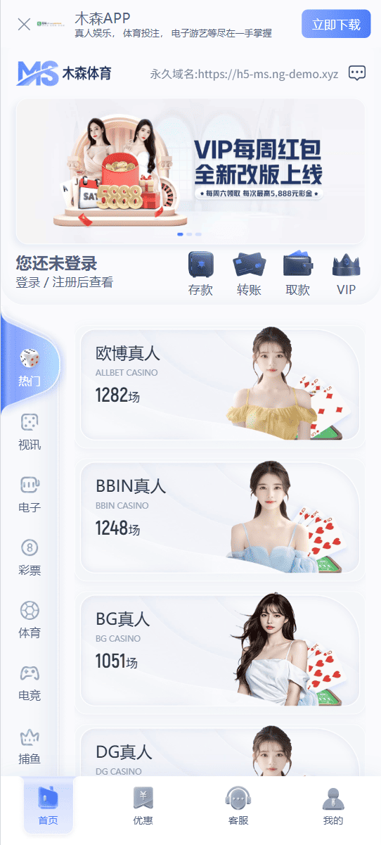 NG包网模版